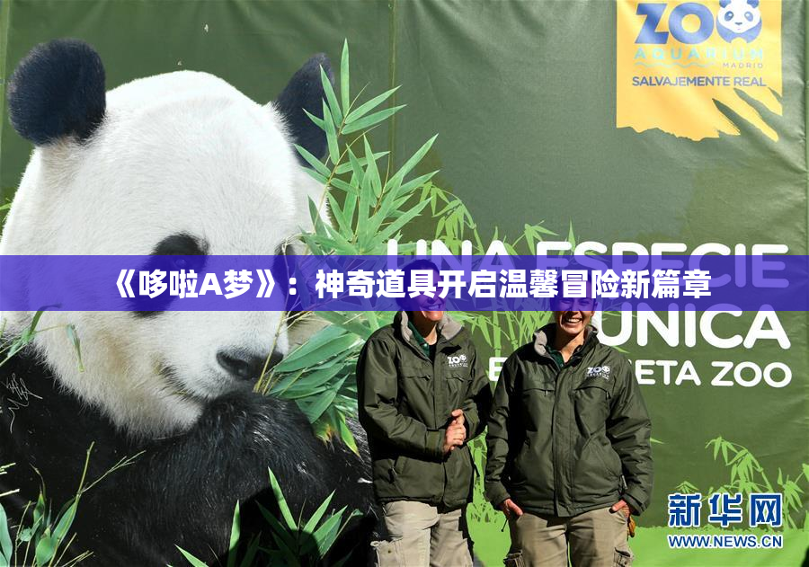 《哆啦A梦》：神奇道具开启温馨冒险新篇章