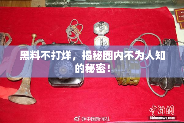 黑料不打烊，揭秘圈内不为人知的秘密！