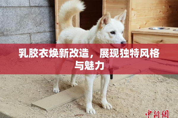 乳胶衣焕新改造，展现独特风格与魅力