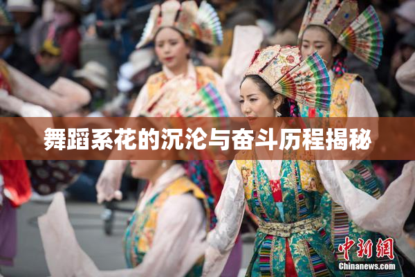 舞蹈系花的沉沦与奋斗历程揭秘