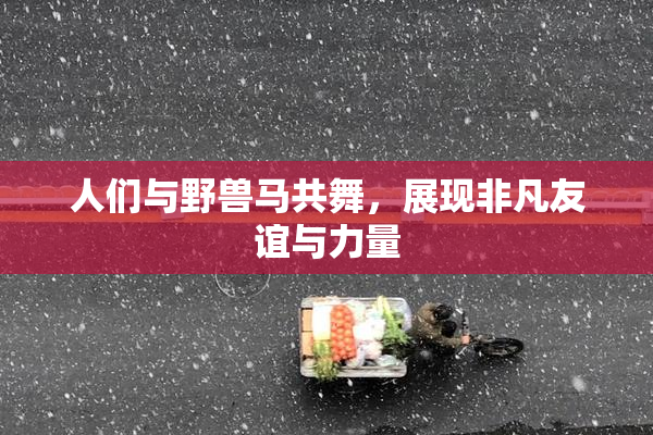 人们与野兽马共舞，展现非凡友谊与力量