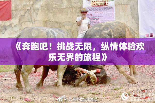 《奔跑吧！挑战无限，纵情体验欢乐无界的旅程》