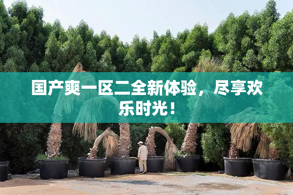 国产爽一区二全新体验，尽享欢乐时光！