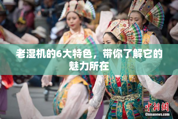老湿机的6大特色，带你了解它的魅力所在