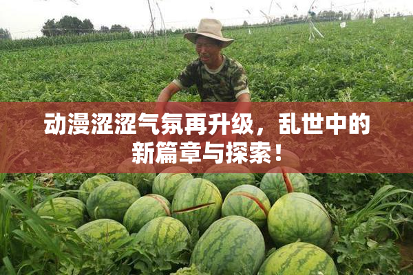 动漫涩涩气氛再升级，乱世中的新篇章与探索！