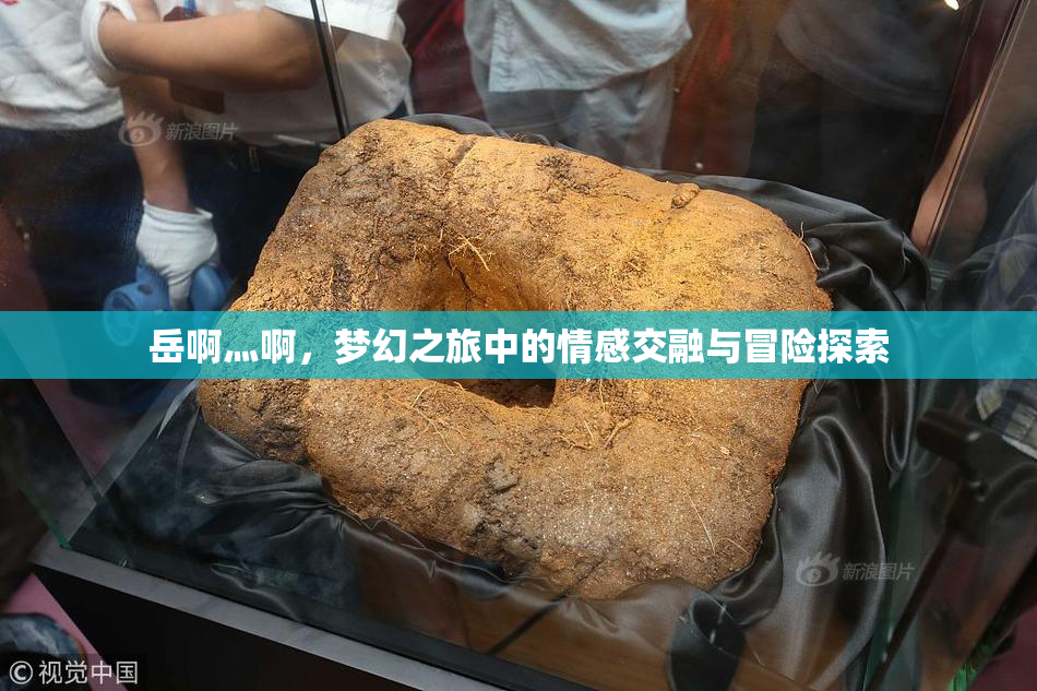 岳啊灬啊，梦幻之旅中的情感交融与冒险探索