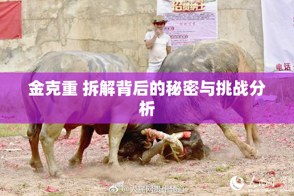 金克重 拆解背后的秘密与挑战分析