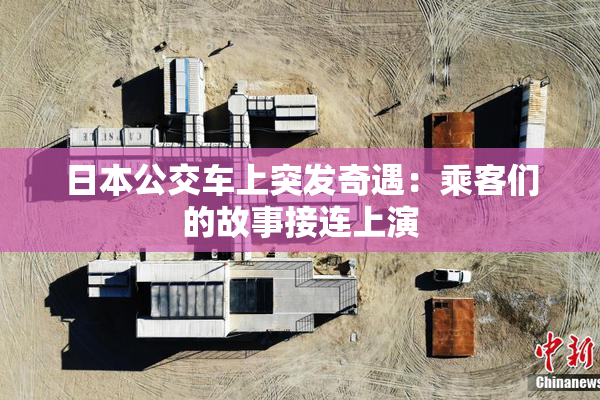 日本公交车上突发奇遇：乘客们的故事接连上演