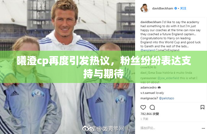 曦澄cp再度引发热议，粉丝纷纷表达支持与期待