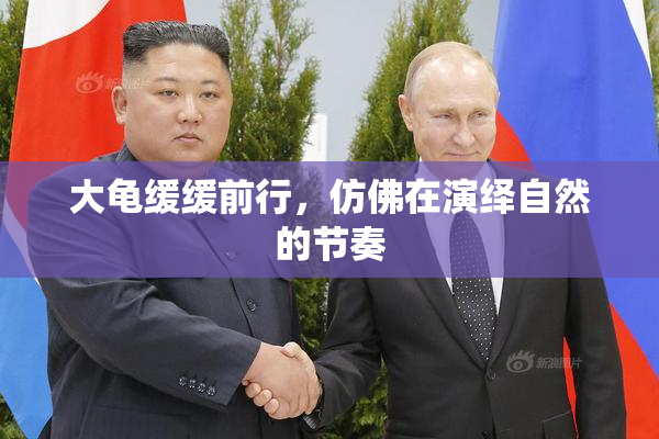 大龟缓缓前行，仿佛在演绎自然的节奏