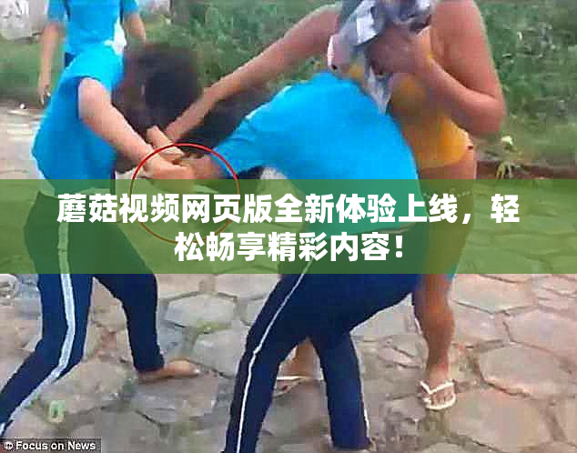 蘑菇视频网页版全新体验上线，轻松畅享精彩内容！