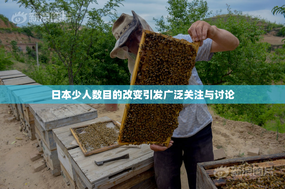 日本少人数目的改变引发广泛关注与讨论