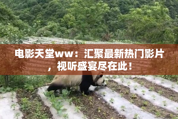 电影天堂ww：汇聚最新热门影片，视听盛宴尽在此！