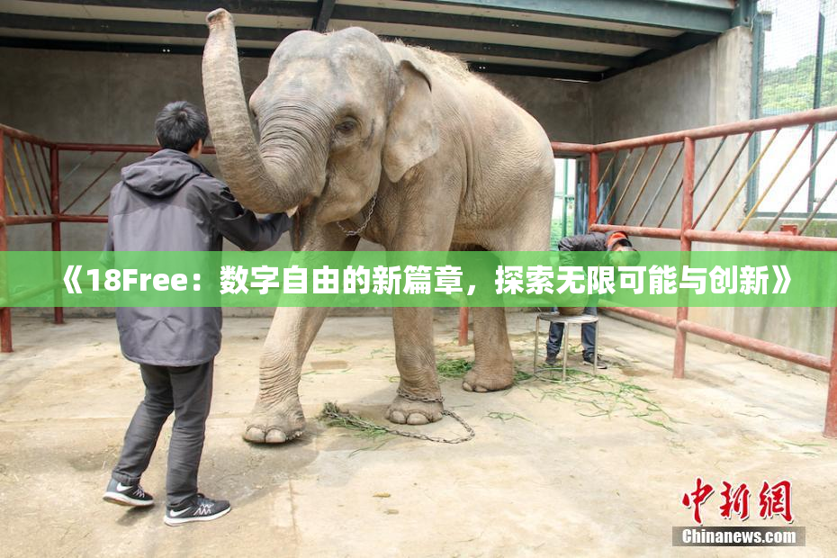 《18Free：数字自由的新篇章，探索无限可能与创新》