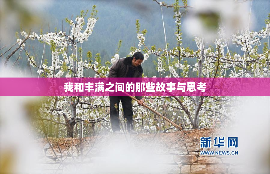 我和丰满之间的那些故事与思考