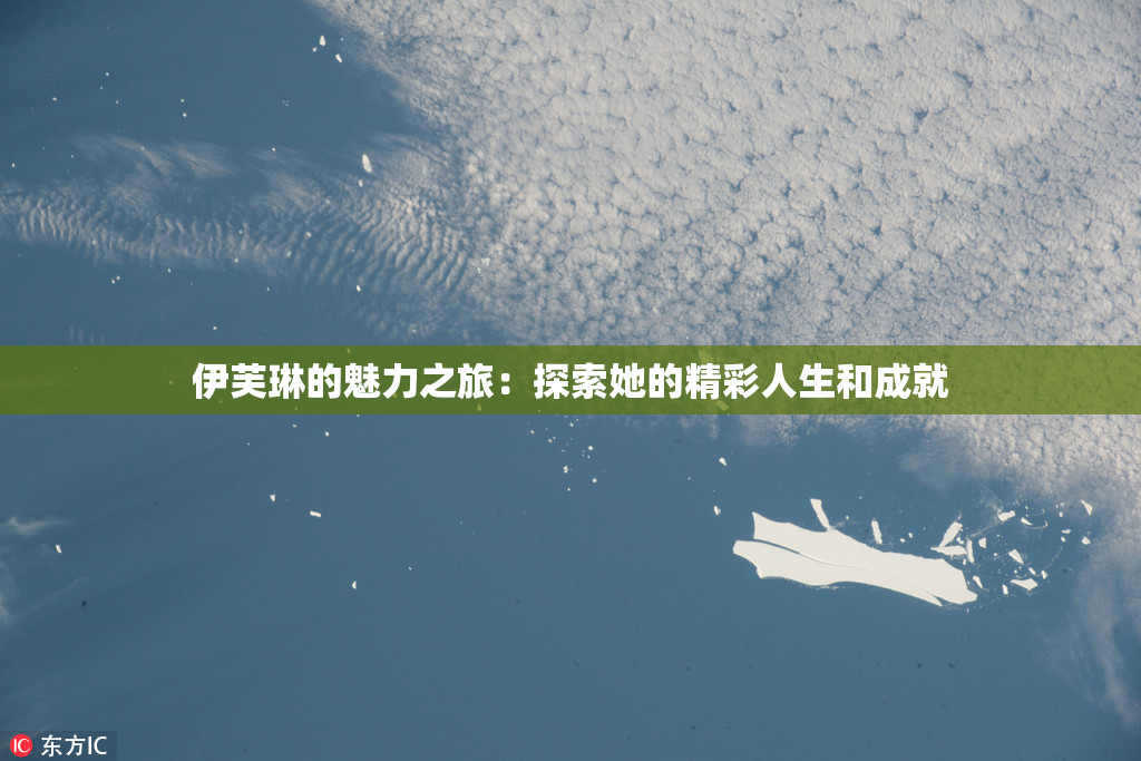 伊芙琳的魅力之旅：探索她的精彩人生和成就