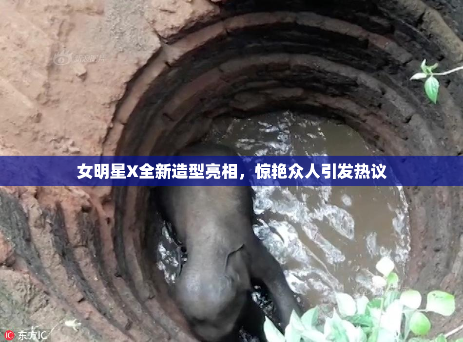 女明星X全新造型亮相，惊艳众人引发热议