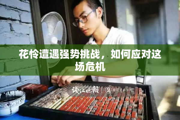 花怜遭遇强势挑战，如何应对这场危机