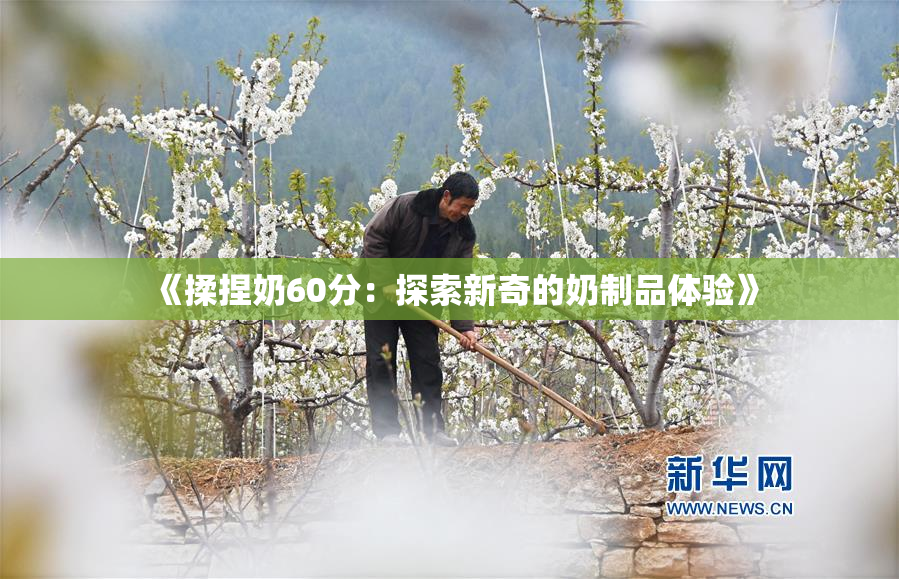 《揉捏奶60分：探索新奇的奶制品体验》