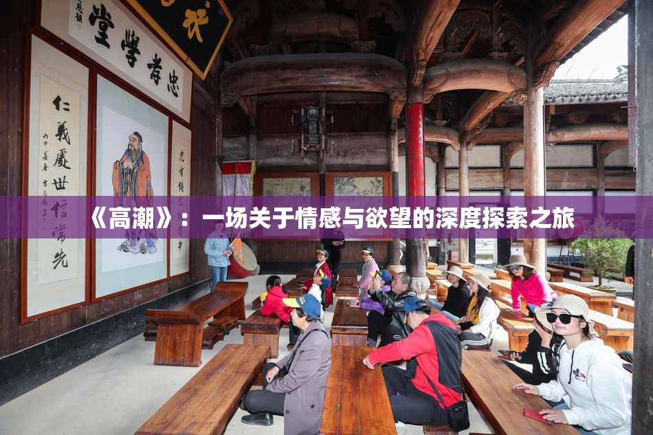 《高潮》：一场关于情感与欲望的深度探索之旅