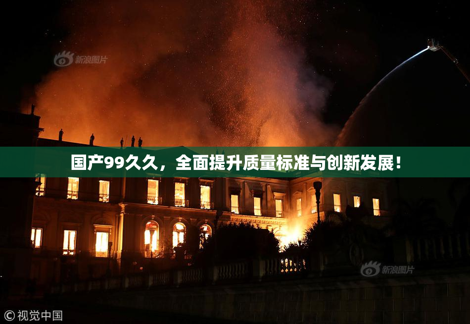 国产99久久，全面提升质量标准与创新发展！