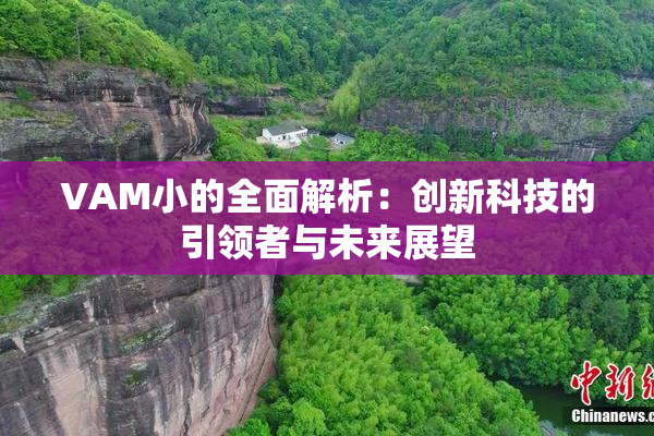 VAM小的全面解析：创新科技的引领者与未来展望