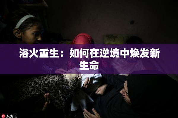 浴火重生：如何在逆境中焕发新生命