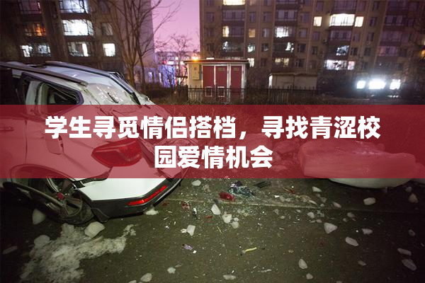 学生寻觅情侣搭档，寻找青涩校园爱情机会