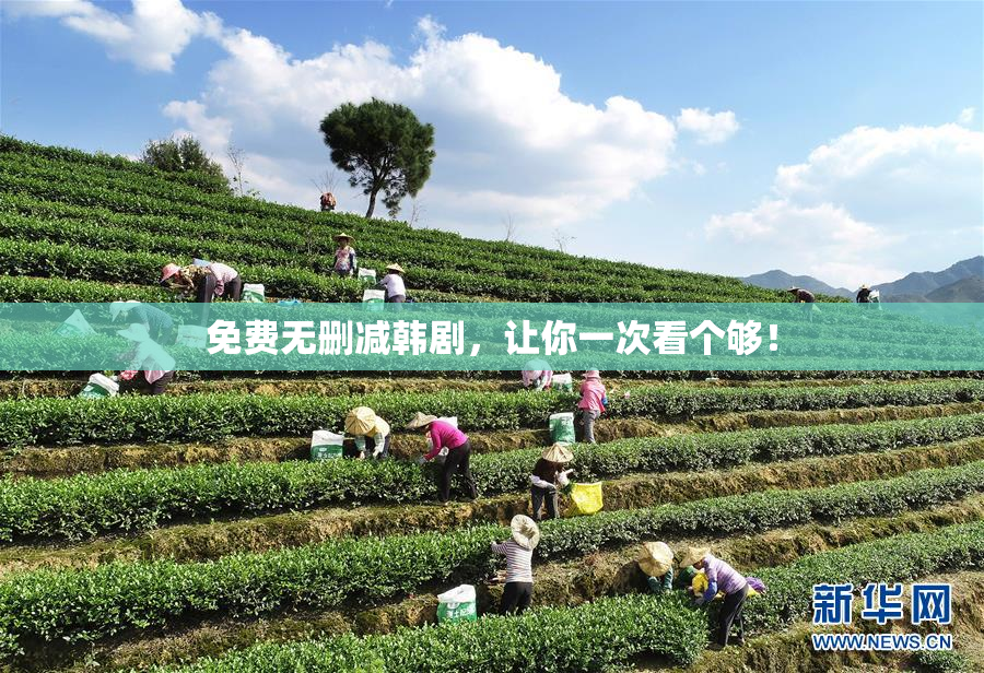 免费无删减韩剧，让你一次看个够！