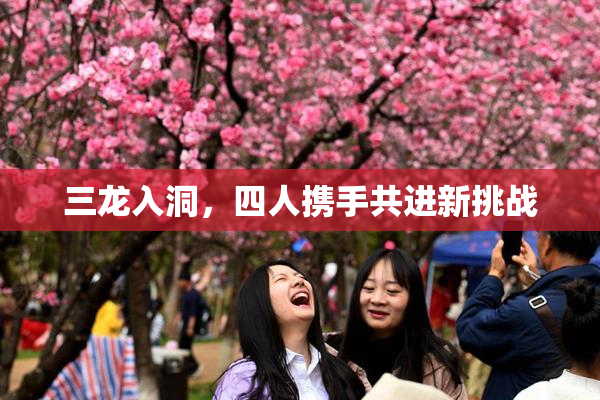 三龙入洞，四人携手共进新挑战