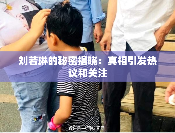 刘若琳的秘密揭晓：真相引发热议和关注
