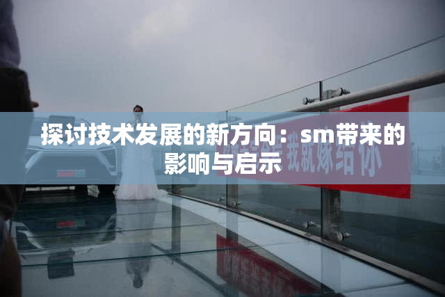 探讨技术发展的新方向：sm带来的影响与启示
