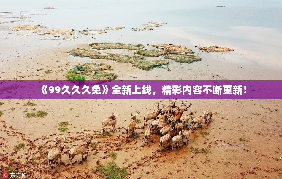 《99久久久免》全新上线，精彩内容不断更新！