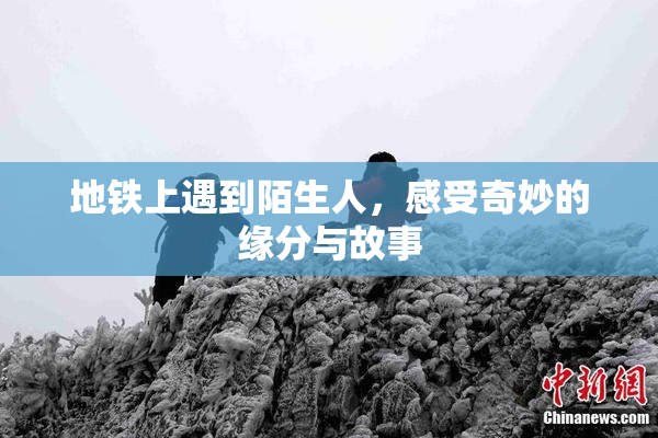 地铁上遇到陌生人，感受奇妙的缘分与故事