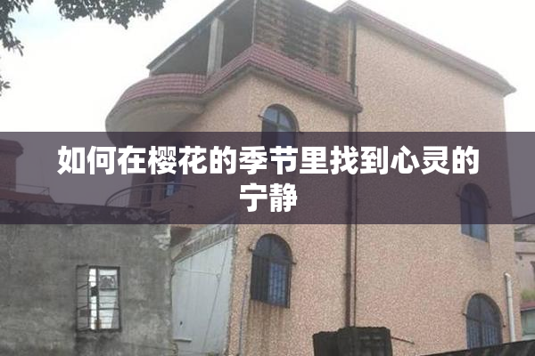 如何在樱花的季节里找到心灵的宁静
