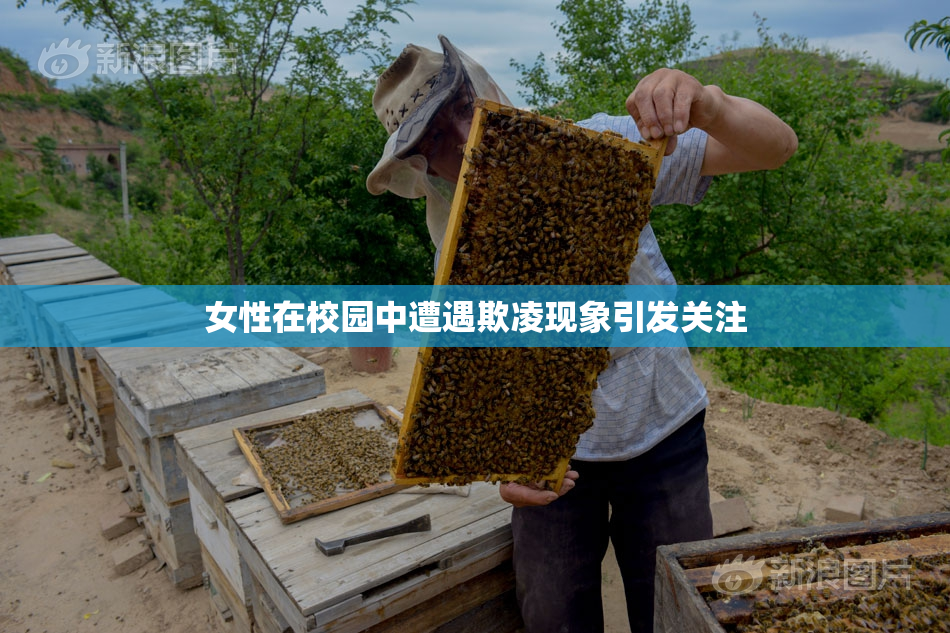 女性在校园中遭遇欺凌现象引发关注