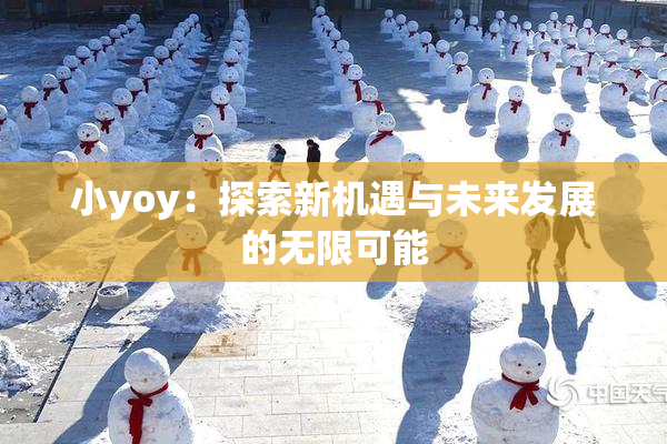 小yoy：探索新机遇与未来发展的无限可能