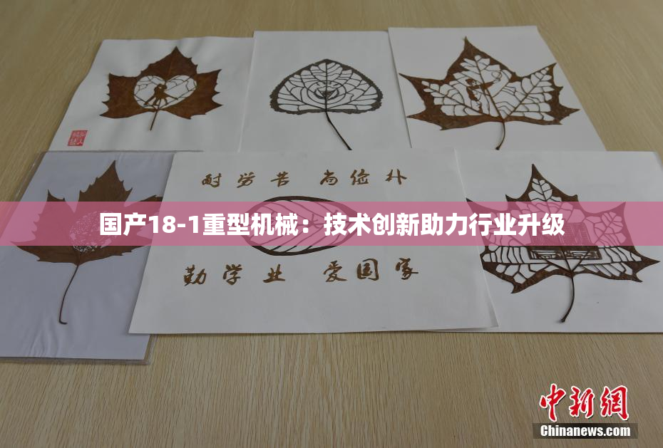 国产18-1重型机械：技术创新助力行业升级
