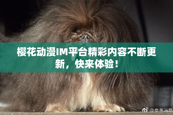 樱花动漫IM平台精彩内容不断更新，快来体验！