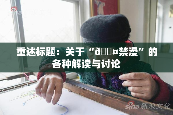 重述标题：关于“🖤禁漫”的各种解读与讨论