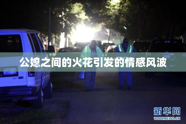 公媳之间的火花引发的情感风波