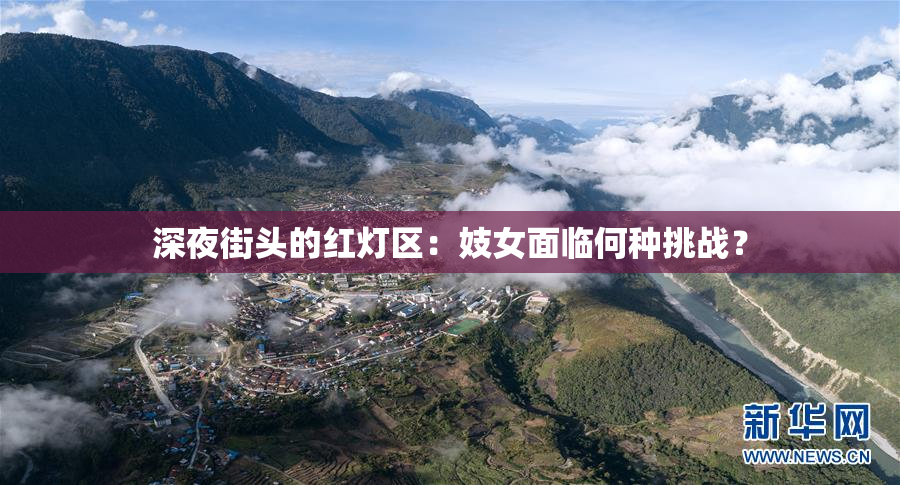 深夜街头的红灯区：妓女面临何种挑战？