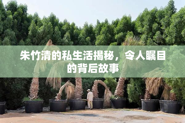 朱竹清的私生活揭秘，令人瞩目的背后故事