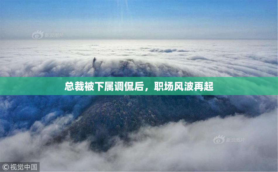 总裁被下属调侃后，职场风波再起