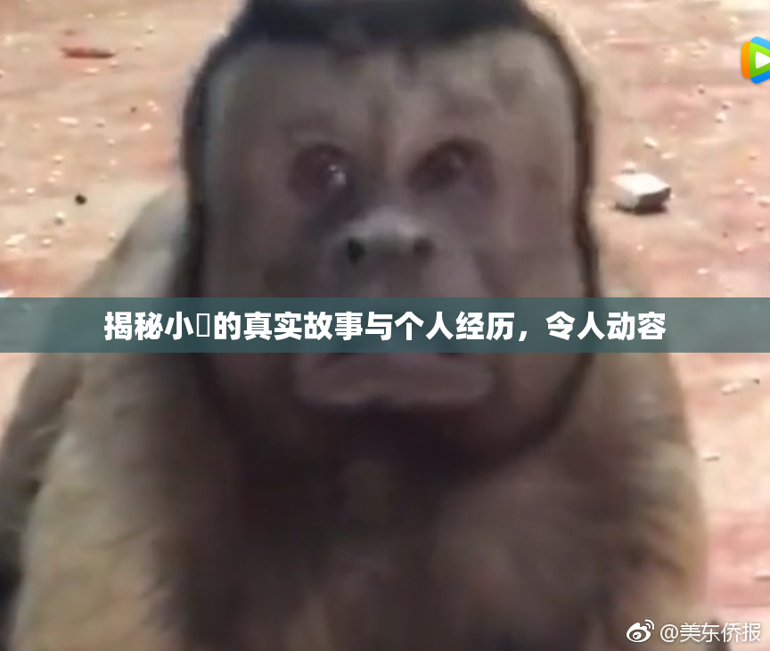 揭秘小泬的真实故事与个人经历，令人动容