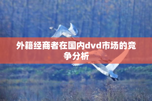 外籍经商者在国内dvd市场的竞争分析