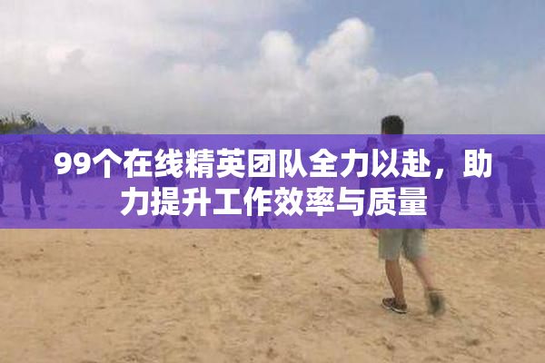 99个在线精英团队全力以赴，助力提升工作效率与质量