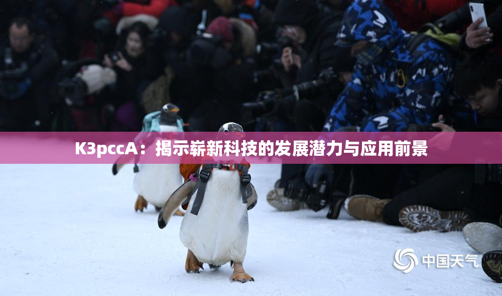 K3pccA：揭示崭新科技的发展潜力与应用前景