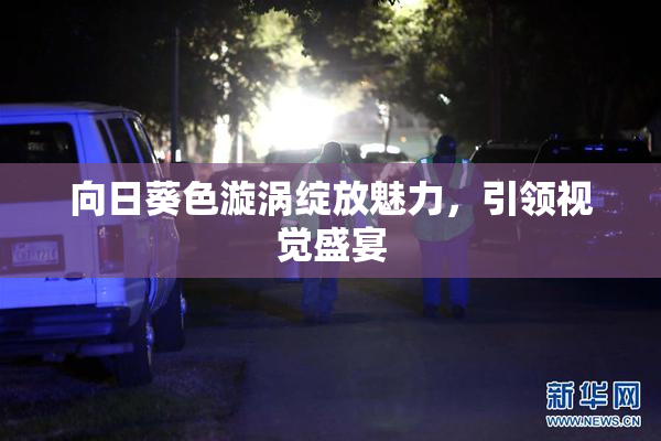 向日葵色漩涡绽放魅力，引领视觉盛宴