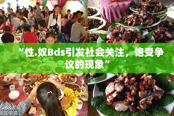 “性.奴Bds引发社会关注，饱受争议的现象”